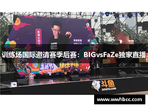 训练场国际邀请赛季后赛：BIGvsFaZe独家直播